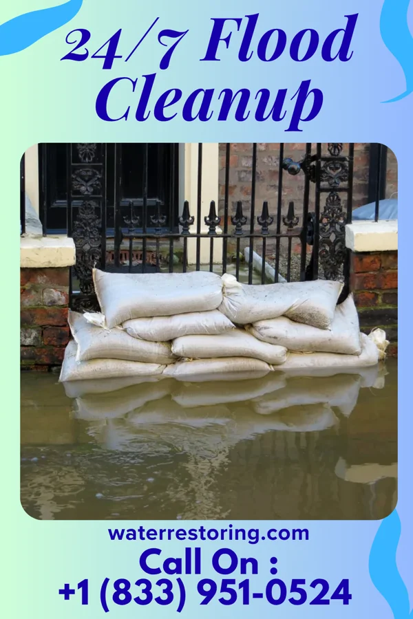 24/7 Flood Cleanup in Welsh, LA