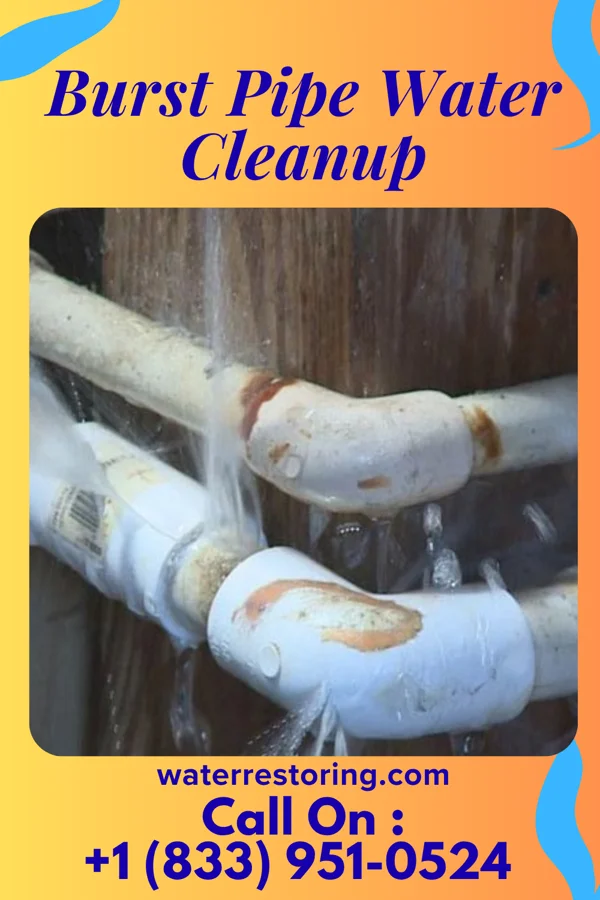 Burst Pipe Water Cleanup in Welsh, LA