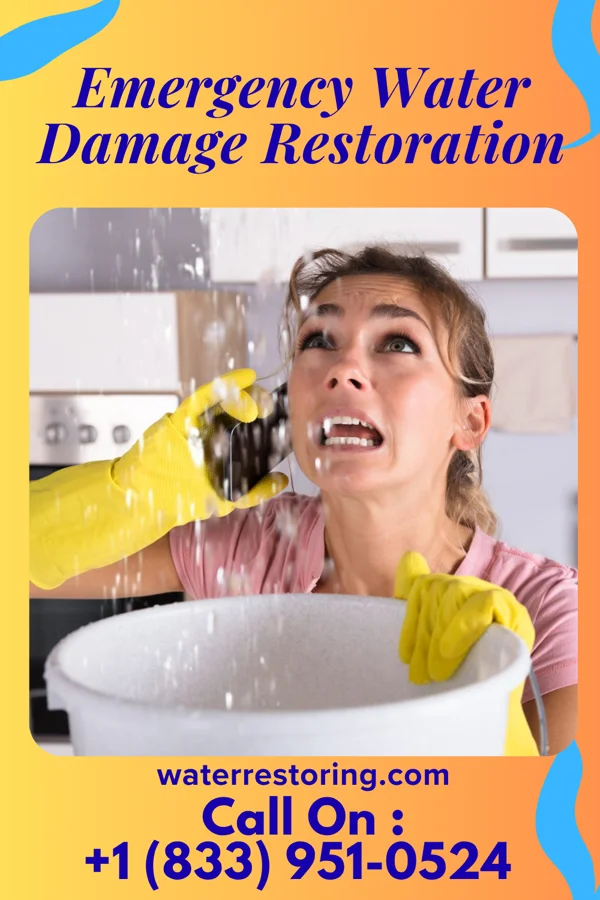 Emergency Water Damage Restoration in Welsh, LA
